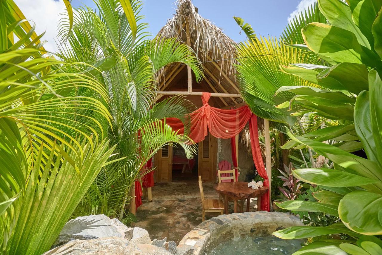 CHALET TROPICAL bio-hotel Las Galeras Esterno foto