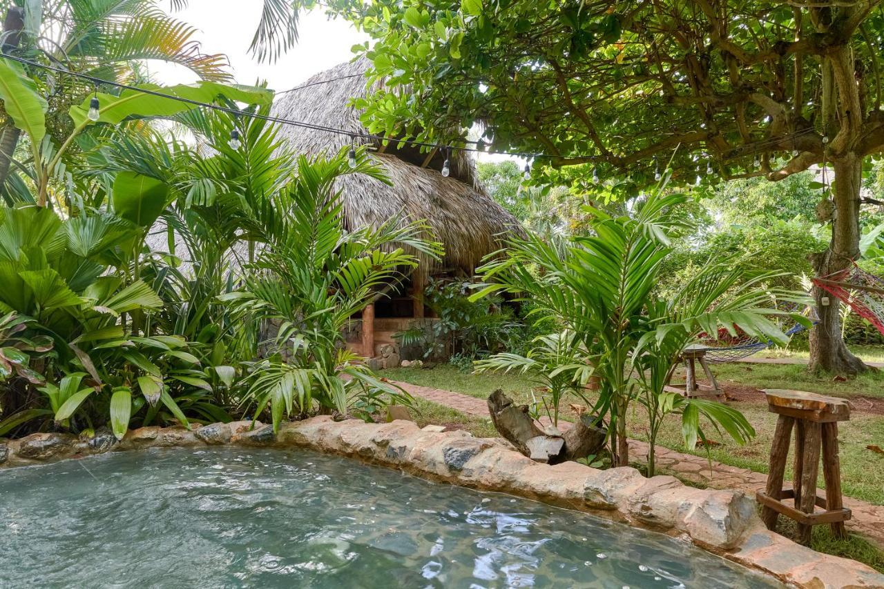 CHALET TROPICAL bio-hotel Las Galeras Esterno foto